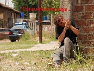 Consumiendo pega…03/05/201014