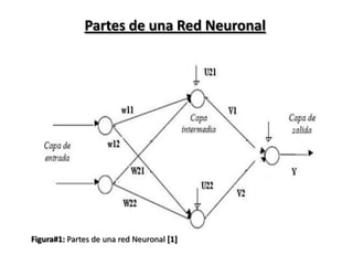 Partes de una Red Neuronal Figura#1: Partes de una red Neuronal [1] 