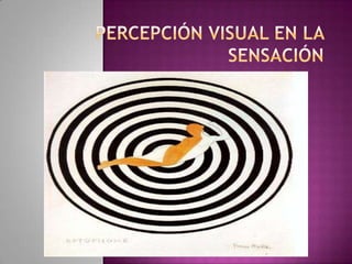 Percepción visual en la sensación 