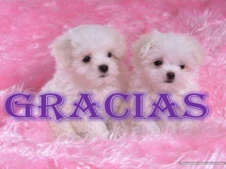 Se utiliza para publicidadREDES SOCIALESYoutobe: puede subir un video 