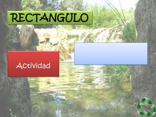 RECTANGULO



Actividad
 