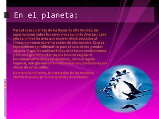 Para el caso concreto de las líneas de alta tensión, las repercusiones sobre los seres vivos son más directas; cada año son miles las aves que mueren electrocutadas al chocar o posarse sobre los cables de alta tensión. Esto es especialmente problemático para el caso de las grandes rapaces. Especies emblemáticas de la fauna mediterránea y con una gran importancia a la hora de regular el funcionamiento de los ecosistemas, cómo el águila imperial, ven gravemente disminuidas sus poblaciones por efecto de estos cables. De manera indirecta, la instalación de los tendidos eléctricos puede provocar grandes desórdenes. En el planeta: 