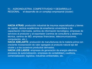 IV.-  AGROINDUSTRIA, COMPETITIVIDAD Y DESARROLLO REGIONAL  el desarrollo de un complejo empresarial (cluster)   HACIA ATRAS:  producción industrial de insumos especializados y bienes de capital, centros académicos de enseñanza universitaria o de capacitación intermedia, centros de información tecnológica, empresas de servicios al productor y al exportador (centros de consultoría y asistencia técnica, centros de I&D, empresas financieras, telecomunicaciones, computación, etc.); HACIA ADELANTE:  producción de manufacturas de la materia prima con creciente incorporación de valor agregado al producto natural eje del cluster y a los sucesivos productos derivados; HACIA LOS LADOS:  empresas de generación de energía eléctrica, procesos de automatización, empresas de contabilidad y auditoria, comercialización, logística, industrias ambientales, etc. 