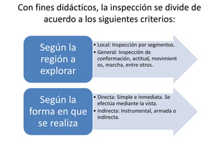 Con fines didácticos, la inspección se divide de
       acuerdo a los siguientes criterios:

                   • Local: Inspección por segmentos.
     Según la      • General: Inspección de
     región a        conformación, actitud, movimient
                     os, marcha, entre otros.
     explorar

                   • Directa: Simple e inmediata. Se
     Según la        efectúa mediante la vista.
  forma en que     • Indirecta: Instrumental, armada o
                     indirecta.
    se realiza
 
