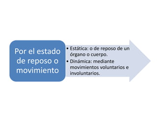 • Estática: o de reposo de un
Por el estado     órgano o cuerpo.
de reposo o     • Dinámica: mediante
                  movimientos voluntarios e
movimiento        involuntarios.
 