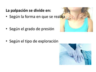 La palpación se divide en:
• Según la forma en que se realiza

• Según el grado de presión

• Según el tipo de exploración
 
