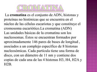 La cromatina es el conjunto de ADN, histonas y
proteínas no histónicas que se encuentra en el
núcleo de las células eucariotas y que constituye el
cromosoma eucariótico.La cromatina (ADN)
Las unidades básicas de la cromatina son los
nucleosomas. Éstos se encuentran formados por
aproximadamente 146 pares de bases de longitud ,
asociados a un complejo específico de 8 histonas
nucleosómicas. Cada partícula tiene una forma de
disco, con un diámetro de 11 nm y contiene dos
copias de cada una de las 4 histonas H3, H4, H2A y
H2B.
 