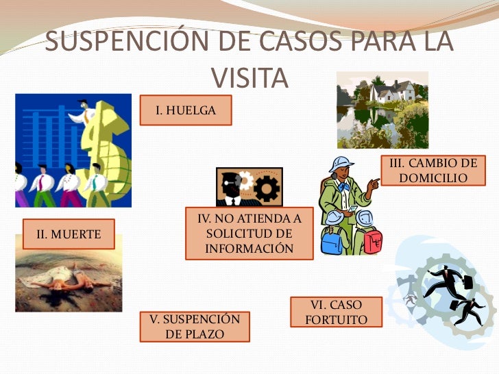 VISITAS DOMICILIARIAS