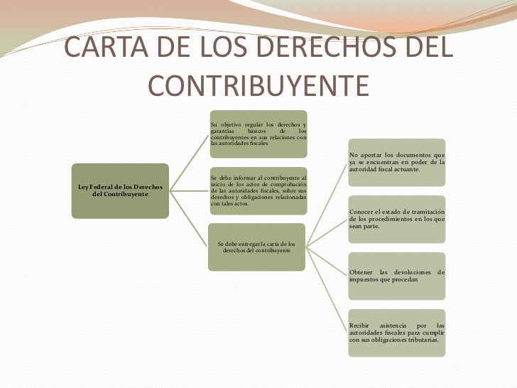 VISITAS DOMICILIARIAS