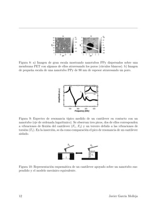 Figura 8: a) Imagen de gran escala mostrando nanotubos PPy dispersados sobre una
membrana PET con algunos de ellos atravesando los poros (círculos blancos). b) Imagen
de pequeña escala de una nanotubo PPy de 90 nm de espesor atravesando un poro.




Figura 9: Espectro de resonancia típico medido de un cantilever en contacto con un
nanotubo (eje de ordenada logarítmico). Se observan tres picos, dos de ellos corresponden
a vibraciones de ﬂexión del cantilever (F1 , F2 ) y un tercero debido a las vibraciones de
torsión (T1 ). En la inserción, se da como comparación el pico de resonancia de un cantilever
aislado.




Figura 10: Representación esquemática de un cantilever apoyado sobre un nanotubo sus-
pendido y el modelo mecánico equivalente.




12                                                                    Javier García Molleja
 