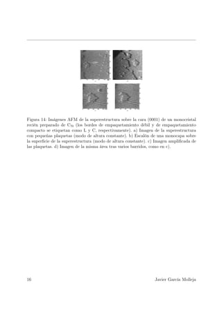 Figura 14: Imágenes AFM de la superestructura sobre la cara (0001) de un monocristal
recién preparado de C70 (los bordes de empaquetamiento débil y de empaquetamiento
compacto se etiquetan como L y C, respectivamente). a) Imagen de la superestructura
con pequeñas plaquetas (modo de altura constante). b) Escalón de una monocapa sobre
la superﬁcie de la superestructura (modo de altura constante). c) Imagen ampliﬁcada de
las plaquetas. d) Imagen de la misma área tras varios barridos, como en c).




16                                                               Javier García Molleja
 