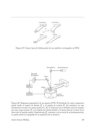 Figura 27: Cuatro tipos de deformación de un cantilever rectangular en FFM.




Figura 28: Diagrama esquemático de un aparato FFM. El fotodiodo de cuatro segmentos
                                     C                            C
puede medir el ángulo de ﬂexión θy y el ángulo de torsión θx del cantilever en una
                                            C
localización cercana a la punta (punto C). θy se relaciona con el doblado vertical causado
                         C
por una carga normal. θx es el ángulo de torsión debido a la fuerza lateral a través de la
                                           C
dirección de barrido rápido. Manteniendo θy constante con un bucle de retroalimentación,
se puede medir la topografía de la superﬁcie de la muestra.

Javier García Molleja                                                                  29
 