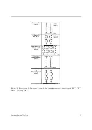 Figura 2: Esquemas de las estructuras de las monocapas autoensambladas HDT, BPT,
MHA, DHBp y BPTC.




Javier García Molleja                                                         7
 