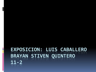 EXPOSICION: LUIS CABALLERO
BRAYAN STIVEN QUINTERO
11-2
 