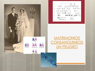 MATRIMONIOS
CONSANGUINEOS
UN PELIGRO