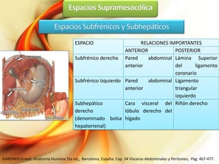 ESPACIO

RELACIONES IMPORTANTES
ANTERIOR
POSTERIOR
Subfrénico derecho Pared
abdominal Lámina Superior
anterior
del
ligamento
coronario
Subfrénico Izquierdo Pared
abdominal Ligamento
anterior
triangular
izquierdo
Subhepàtico
Cara visceral del Riñón derecho
derecho
lóbulo derecho del
(denominado bolsa hígado
hepatorrenal)

GARDNER Ernest. Anatomía Humana 5ta ed,, Barcelona, España: Cap. 34 Vísceras Abdominales y Peritoneo, Pág: 467-477.

 