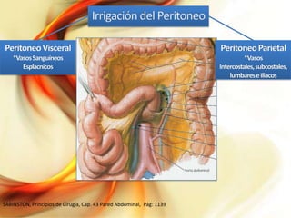 SABINSTON, Principios de Cirugía, Cap. 43 Pared Abdominal, Pág: 1139

 