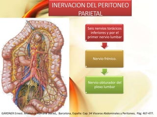 Seis nervios torácicos
inferiores y por el
primer nervio lumbar

Nervio frénico.

Nervio obturador del
plexo lumbar

GARDNER Ernest. Anatomía Humana 5ta ed,, Barcelona, España: Cap. 34 Vísceras Abdominales y Peritoneo, Pág: 467-477.

 