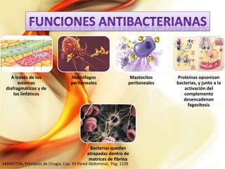 A través de los
estomas
diafragmáticos y de
los linfáticos

Macrófagos
peritoneales

Mastocitos
peritoneales

Bacterias quedan
atrapadas dentro de
matrices de fibrina

SABINSTON, Principios de Cirugía, Cap. 43 Pared Abdominal, Pág: 1139

Proteínas opsonizan
bacterias, y junto a la
activación del
complemento
desencadenan
fagocitosis

 