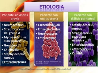 Paciente sin Ascitis
previa
• Neumococcus
• Streptococcus
del grupo A
• Mycobacterium
Tuberculosis
• Gonococcus
• Chlamydia
• Staphylococcus
Aureus
• Enterobacterias

Paciente con
Ascitis previa
• Escherichia Coli
• Enterobacterias
• Neumococcus
• Enterococcus

Paciente con
diálisis peritoneal
• Staphylococcus
Aureus
• Streptococcus
coagulasa
negativa
• Enterobacterias
• enterococcus
• Candida

Intramed: http://www.intramed.net/sitios/librovirtual1/pdf/librovirtual1_42.pdf

 