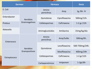 Germen
E. Coli

Fármaco

Dosis

Amino
penicilinas

Enterococo
Aerobios
Grampositivos
Estreptococo

Ciprofloxacina

500mg/12h.

Cefalosporinas

Ceftriaxona

1-2 gr./12h

Amikacina

15mg/kg/día

Amino
penicilinas

Klebsiella

Quinolonas

Amp/Sulbc

500mg/6h.

Levofloxacina

Proteus

Aerobios
Gramnegativos

1g /6h. IV

Aminoglucósidos

Enterobacter

Amp

500-750mg/24h.

Moxifloxacina

400mg/24h

Cefalosporinas

Ceftriaxona

1-2 gr/12h

Carbapenémicos

Imipenem

1-2gr/6h

Quinolonas

 