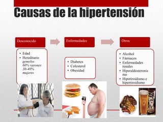 Causas de la hipertensión
Desconocido
• Edad
• Hereditario
gemelos
60% varones
30-40%
mujeres
Enfermedades
• Diabetes
• Colesterol
• Obesidad
Otros
• Alcohol
• Fármacos
• Enfermedades
renales
• Hiperaldosteronis
mo
• Hipotiroidismo e
hipertiroidismo
 