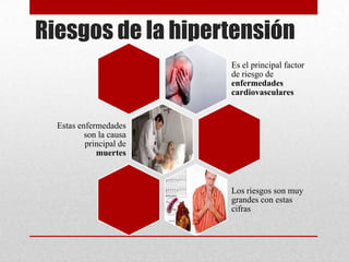 Riesgos de la hipertensión
Es el principal factor
de riesgo de
enfermedades
cardiovasculares
Estas enfermedades
son la causa
principal de
muertes
Los riesgos son muy
grandes con estas
cifras
 