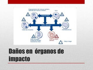 Daños en órganos de
impacto
 