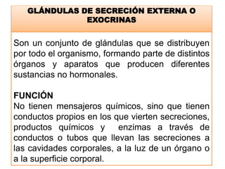 GLÁNDULAS DE SECRECIÓN EXTERNA O
EXOCRINAS
Son un conjunto de glándulas que se distribuyen
por todo el organismo, formando parte de distintos
órganos y aparatos que producen diferentes
sustancias no hormonales.
FUNCIÓN
No tienen mensajeros químicos, sino que tienen
conductos propios en los que vierten secreciones,
productos químicos y enzimas a través de
conductos o tubos que llevan las secreciones a
las cavidades corporales, a la luz de un órgano o
a la superficie corporal.
 