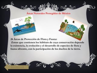 Áreas Naturales Protegidas de México
26 Áreas de Protección de Flora y Fauna:
Zonas que contienen los hábitats de cuya conservación depende
la existencia, la evolución y el desarrollo de especies de flora y
fauna silvestre, con la participación de los dueños de la tierra.
REGRESAR
 
