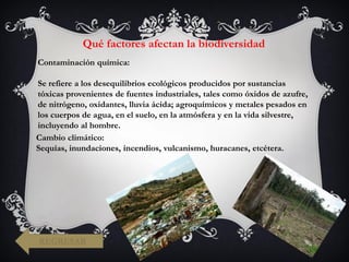 Qué factores afectan la biodiversidad
Contaminación química:
Se refiere a los desequilibrios ecológicos producidos por sustancias
tóxicas provenientes de fuentes industriales, tales como óxidos de azufre,
de nitrógeno, oxidantes, lluvia ácida; agroquímicos y metales pesados en
los cuerpos de agua, en el suelo, en la atmósfera y en la vida silvestre,
incluyendo al hombre.
Cambio climático:
Sequías, inundaciones, incendios, vulcanismo, huracanes, etcétera.
REGRESAR
 