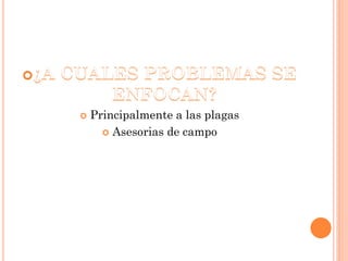  Principalmente a las plagas
 Asesorias de campo
 