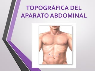 TOPOGRÁFICA DEL
APARATO ABDOMINAL
 