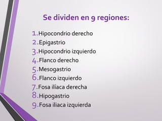 Se dividen en 9 regiones:
1.Hipocondrio derecho
2.Epigastrio
3.Hipocondrio izquierdo
4.Flanco derecho
5.Mesogastrio
6.Flanco izquierdo
7.Fosa ilíaca derecha
8.Hipogastrio
9.Fosa iliaca izquierda
 
