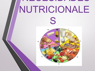 NECESIDADES
NUTRICIONALE
S
 