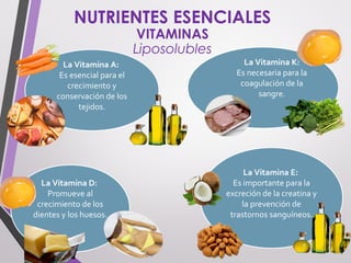 NUTRIENTES ESENCIALES
VITAMINAS
Liposolubles
La Vitamina A:
Es esencial para el
crecimiento y
conservación de los
tejidos.
La Vitamina D:
Promueve al
crecimiento de los
dientes y los huesos.
La Vitamina E:
Es importante para la
excreción de la creatina y
la prevención de
trastornos sanguíneos.
La Vitamina K:
Es necesaria para la
coagulación de la
sangre.
 