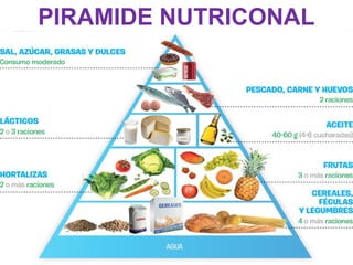 PIRAMIDE NUTRICONAL
 