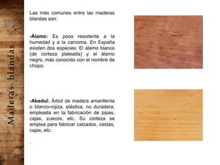 Las más comunes entre las maderas
blandas son:
-Álamo: Es poco resistente a la
humedad y a la carcoma. En España
existen dos especies: El álamo blanco
(de corteza plateada) y el álamo
negro, más conocido con el nombre de
chopo.
-Abedul: Árbol de madera amarillenta
o blanco-rojiza, elástica, no duradera,
empleada en la fabricación de pipas,
cajas, zuecos, etc. Su corteza se
emplea para fabricar calzados, cestas,
cajas, etc.
.
Maderasblandas
 