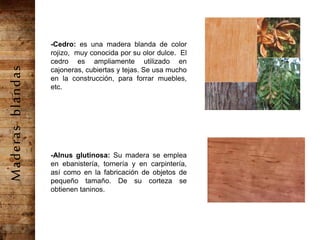 -Cedro: es una madera blanda de color
rojizo, muy conocida por su olor dulce. El
cedro es ampliamente utilizado en
cajoneras, cubiertas y tejas. Se usa mucho
en la construcción, para forrar muebles,
etc.
-Alnus glutinosa: Su madera se emplea
en ebanistería, tornería y en carpintería,
así como en la fabricación de objetos de
pequeño tamaño. De su corteza se
obtienen taninos.
Maderasblandas
 