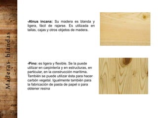 -Alnus incana: Su madera es blanda y
ligera, fácil de rajarse. Es utilizada en
tallas, cajas y otros objetos de madera.
-Pino: es ligera y flexible. Se la puede
utilizar en carpintería y en estructuras, en
particular, en la construcción marítima.
También se puede utilizar ésta para hacer
carbón vegetal. Igualmente también para
la fabricación de pasta de papel o para
obtener resina
Maderasblandas
 