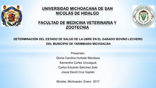 DETERMINACIÓN DEL ESTADO DE SALUD DE LA UBRE EN EL GANADO BOVINO LECHERO
DEL MUNICIPIO DE TARIMBARO MICHOACÁN
Presentan:
Gloria Carolina Hurtado Mendoza
Samantha Cortez Urzueguia
Carlos Eduardo Sánchez Soto
Josué David Cruz Gaytán
Morelia, Michoacán, Enero 2017
UNIVERSIDAD MICHOACANA DE SAN
NICOLÁS DE HIDALGO
FACULTAD DE MEDICINA VETERINARIA Y
ZOOTECNIA
 