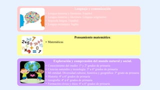 Lenguaje y comunicación
• Lengua materna y literatura. Español
• Lengua materna y literatura. Lenguas originarias
• Segunda lengua. Español.
• Lengua extranjera. Inglés
Pensamiento matemático.
• Matemáticas
Exploración y comprensión del mundo natural y social.
• Conocimiento del medio: 1º y 2º grados de primaria
• Ciencias naturales y tecnología: 3º a 6º grados de primaria
• Mi entidad. Diversidad cultural, histórica y geográfica: 3º grado de primaria
• Historia: 4º a 6º grados de primaria
• Geografía: 4º a 6º grados de primaria
• Formación cívica y ética: 4º a 6º grados de primaria
 