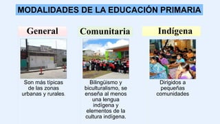 Son más típicas
de las zonas
urbanas y rurales.
General
Bilingüismo y
biculturalismo, se
enseña al menos
una lengua
indígena y
elementos de la
cultura indígena.
Comunitaria
Dirigidos a
pequeñas
comunidades
Indígena
MODALIDADES DE LA EDUCACIÓN PRIMARIA
 