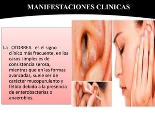 La OTORREA es el signo
clínico más frecuente, en los
casos simples es de
consistencia serosa,
mientras que en las formas
avanzadas, suele ser de
carácter mucopurulento y
fétido debido a la presencia
de enterobacterias o
anaerobios.
MANIFESTACIONES CLINICAS
 