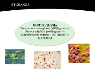 BACTERIOLOGIA
Pseudomonas aeruginosa (38%) (gram(-))
Proteus mirabilis (19%) (gram(-))
Staphylococcus aeureus (13%) (gram(+))
E. Coli (6%)
ETIOLOGIA
 