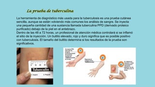 La herramienta de diagnóstico más usada para la tuberculosis es una prueba cutánea
sencilla, aunque se están volviendo más comunes los análisis de sangre. Se inyecta
una pequeña cantidad de una sustancia llamada tuberculina PPD (derivado proteico
purificado) debajo de la piel en el antebrazo.
Dentro de las 48 a 72 horas, un profesional de atención médica controlará si se inflamó
el sitio de la inyección. Un bultito elevado, rojo y duro significa que es posible positivo
con tuberculosis. El tamaño del bultito determina si los resultados de la prueba son
significativos.
La prueba de tuberculina
 