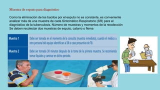 Muestra de esputo para diagnóstico
Como la eliminación de los bacilos por el esputo no es constante, es conveniente
analizar más de una muestra de cada Sintomático Respiratorio (SR) para el
diagnóstico de la tuberculosis. Número de muestras y momentos de la recolección
Se deben recolectar dos muestras de esputo, catarro o flema
 