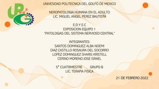 UNIVESIDAD POLITECNICA DEL GOLFO DE MEXICO
NEROPATOLOGIA HUMANA EN EL ADULTO
LIC. MIGUEL ANGEL PEREZ BAUTISTA
E.D Y E.C
EXPOSICION EQUIPO 1
“PATOLOGIAS DEL SISTEMA NERVIOSO CENTRAL”
INTEGRANTES:
SANTOS DOMINGUEZ ALBA NOEMI
DIAZ CASTILLO ROSAURA DEL SOCORRO
LOPEZ DOMINGUEZ SHARIS KRISTELL
CERINO MORENO JOSE ISRAEL
5° CUATRIMESTRE GRUPO B
LIC. TERAPIA FISICA
21 DE FEBRERO 2022
 