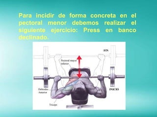 Para incidir de forma concreta en el
pectoral menor debemos realizar el
siguiente ejercicio: Press en banco
declinado.
 