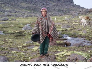 Exposicion bolivia registro-y-medio-ambiente 2014
